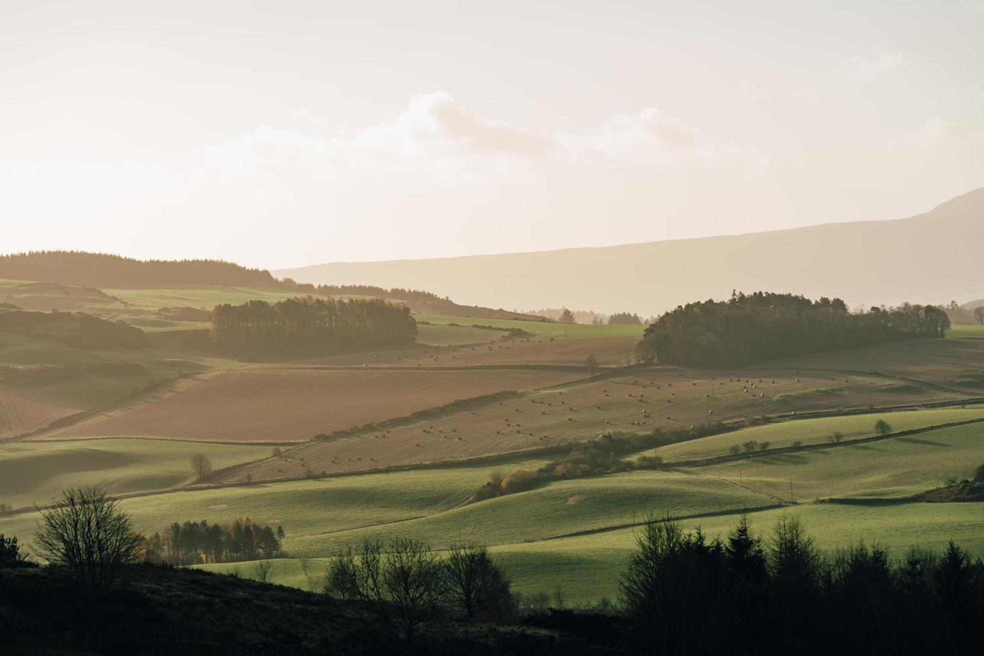 Luxury Couple'S Retreat With Hot Tub At Lindores Newburgh  Exteriér fotografie